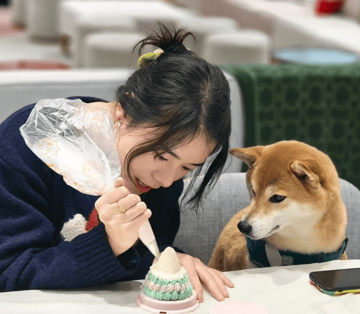 月饼热销还可量身定制有商家一周内售出上千枚开元ky棋牌“毛孩子”也过中秋！成都宠